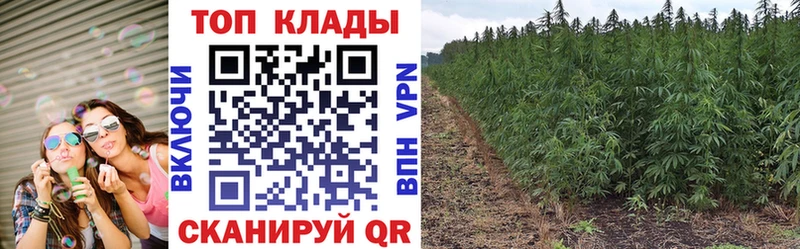 Где купить наркотики Котлас Амфетамин  МЕФ  Гашиш  СОЛЬ  МАРИХУАНА  COCAIN 
