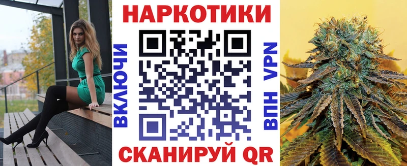 МЕФ Котлас