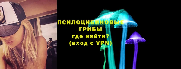 mdpv Белокуриха