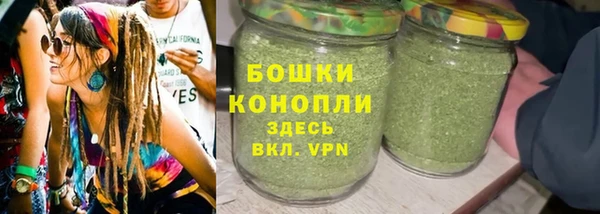 mdpv Белокуриха
